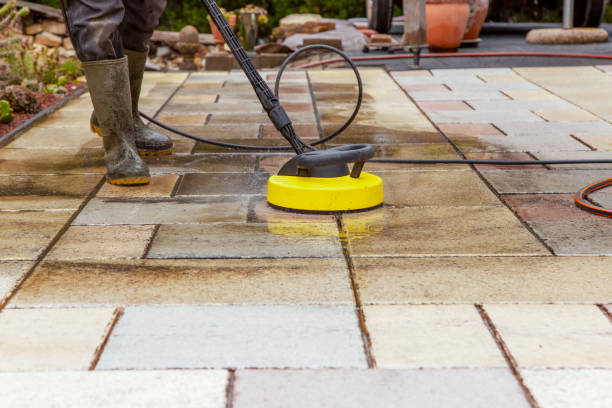 Best Animal Enclosure Cleaning  in San Juan Bautista, CA